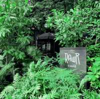 Cozy Nature Cafe near BTS Phrakanong in Bangkok 🌿