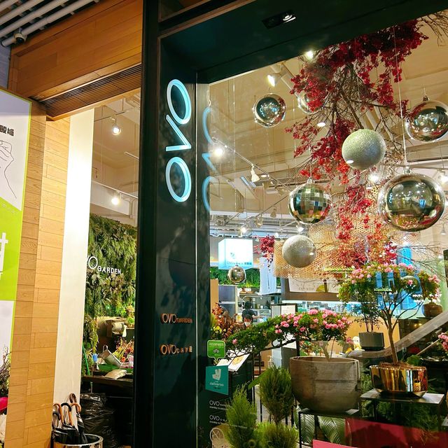 Ovo cafe