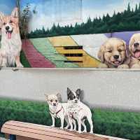 彰化忠權社區 🖌 有各種可愛的彩繪🖍狗狗🐶與你合照📷