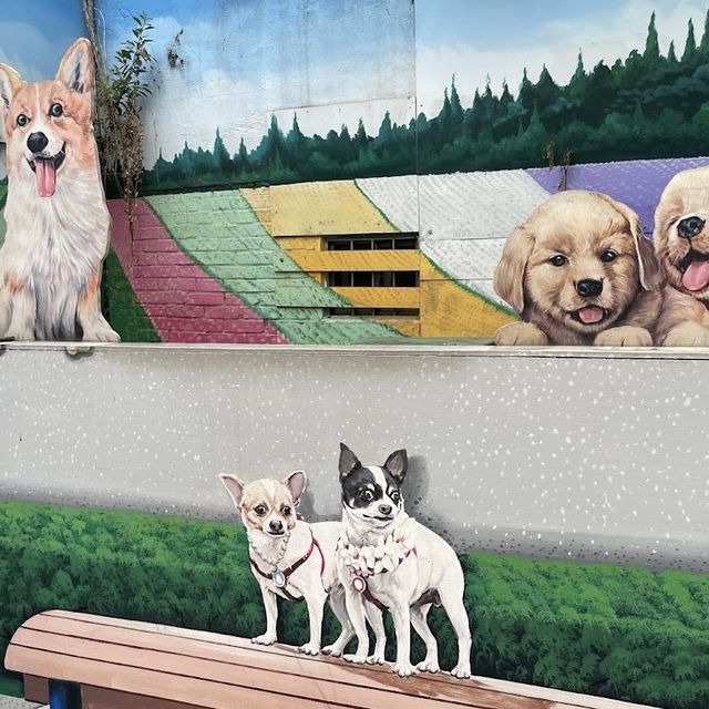 彰化忠權社區 🖌 有各種可愛的彩繪🖍狗狗🐶與你合照📷