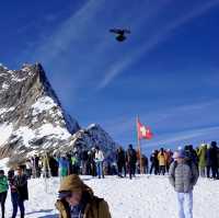 Top of Europe: Snow, Sculptures, Slopes