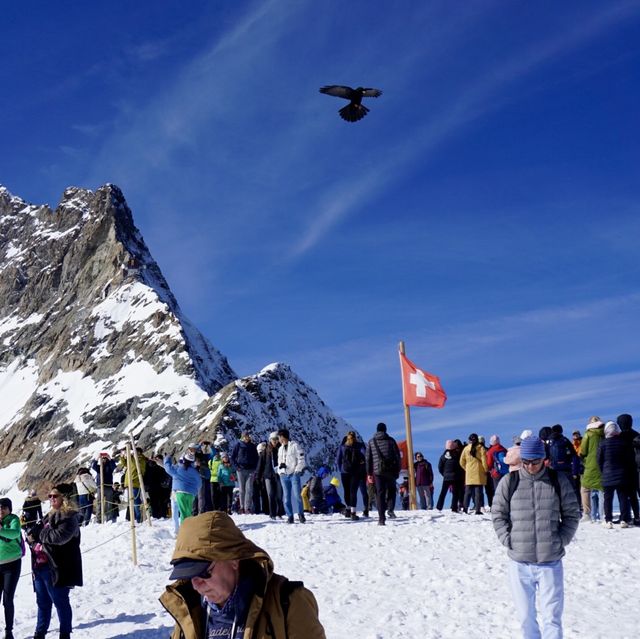 Top of Europe: Snow, Sculptures, Slopes