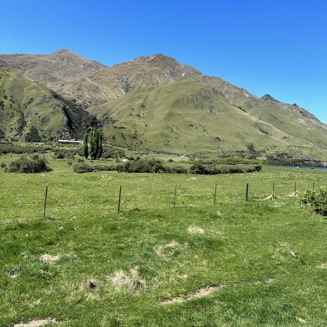 NZ 南島 皇后鎮 Moke Lake 營地旁 騎馬體驗