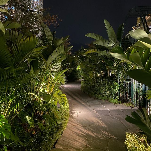 A Real Staycation: Silveri -M Gallery
