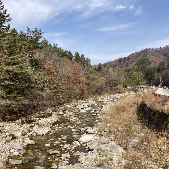 할로윈 데이에는 평창으로!