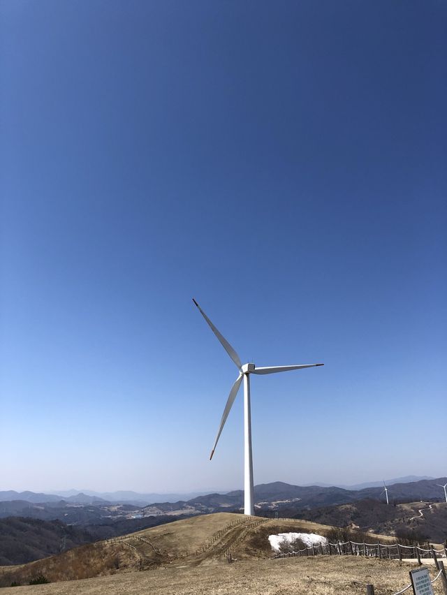 [대관령 여행]🐏하늘목장에서 힐링하기🐏