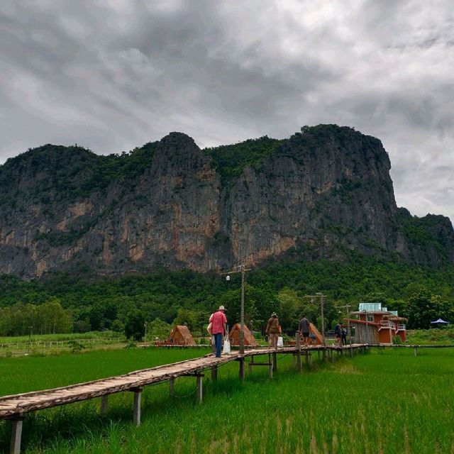 ภูผาม่านโฮมสเตย์ ที่พักกลางทุ่งนา วิวหลักล้าน