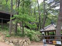 [🇰🇷, 김해] 🏕 신어산자연숲캠핑장 - 꽃2동 🏕