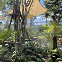 ระกา คาเฟ่