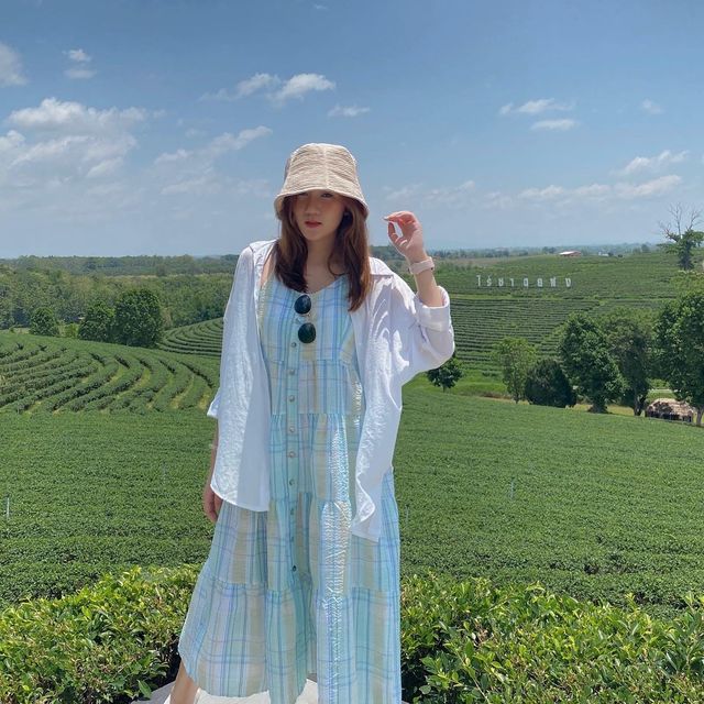 ไร่ชาฉุยฟง 🌿 จังหวัดเชียงราย