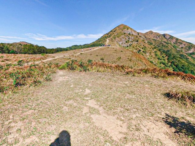 昂坪大草原· 馬鞍山-新手行山路徑