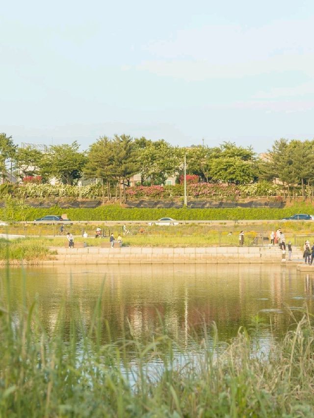 서울 가볼만한 곳 추천, 중랑천