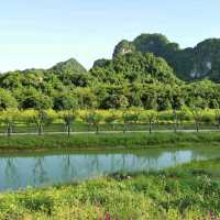 寧平必玩景點--松芽鳥類生態旅遊區Khu du lịch sinh thái Thung Nham - Ninh Bình