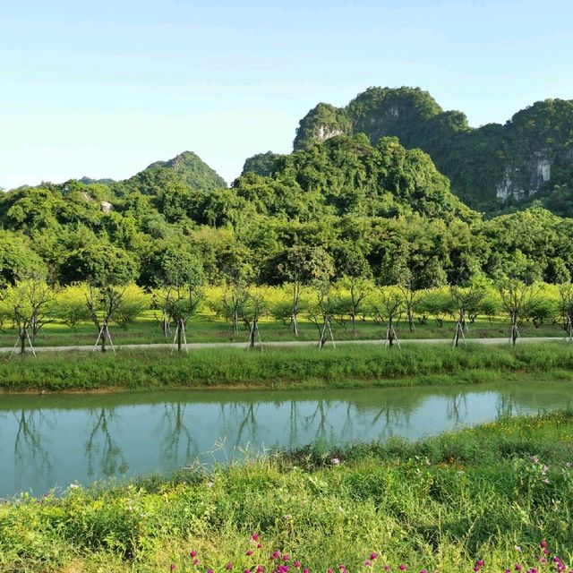 寧平必玩景點--松芽鳥類生態旅遊區Khu du lịch sinh thái Thung Nham - Ninh Bình