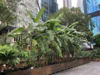 本地遊 | 坐港鐵遊香港 | 炮台山站 | 油街實現 | 鬧市中的藝術綠洲