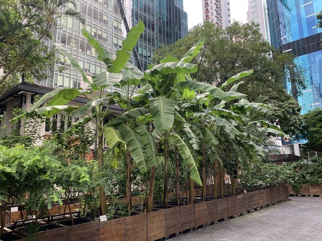 本地遊 | 坐港鐵遊香港 | 炮台山站 | 油街實現 | 鬧市中的藝術綠洲