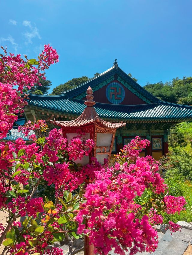 거대한 해수관음상이 있는 양양 낙산사🌊