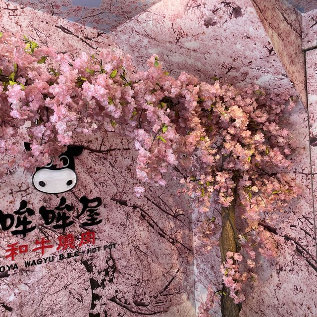 萌萌屋櫻花燒肉好美啊感覺來到日本