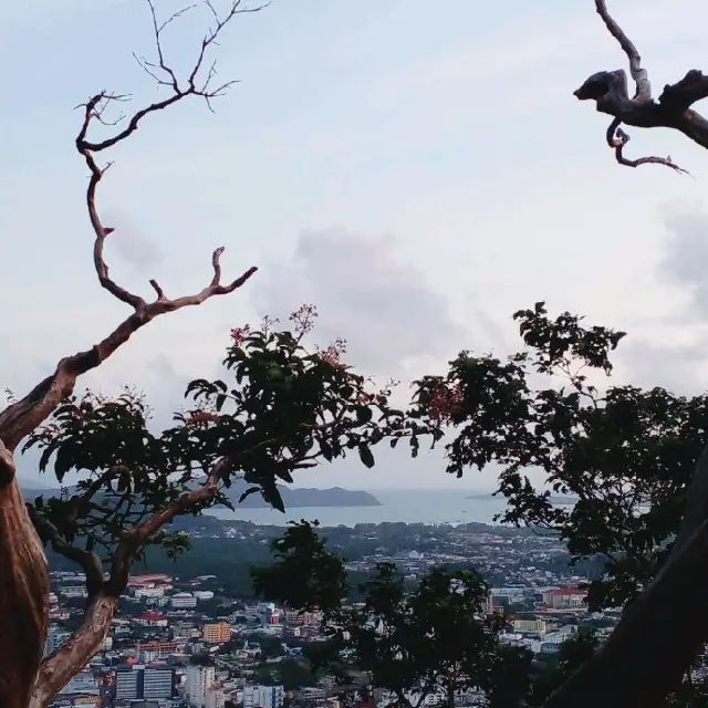 เดินกินลม..ชมลิง..ที่ป่าในเมือง(ภูเก็ต)