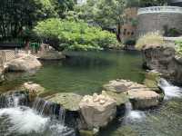 本地遊 | 坐港鐵遊香港 | 金鐘站 | 香港公園｜鬧市賞花好去處