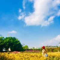 Flower Valley Tay Ho