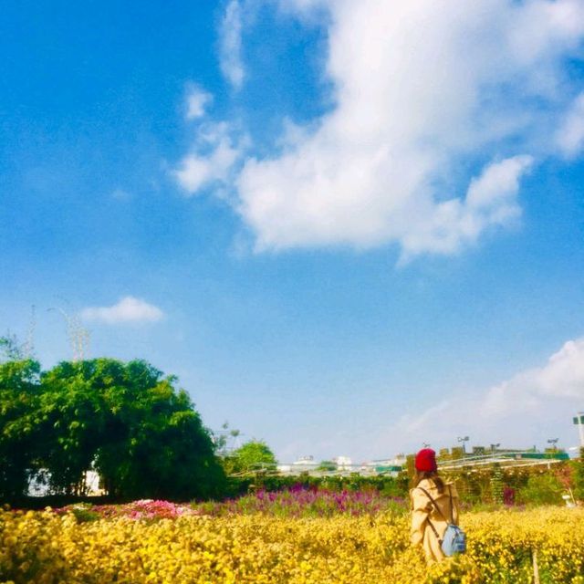 Flower Valley Tay Ho