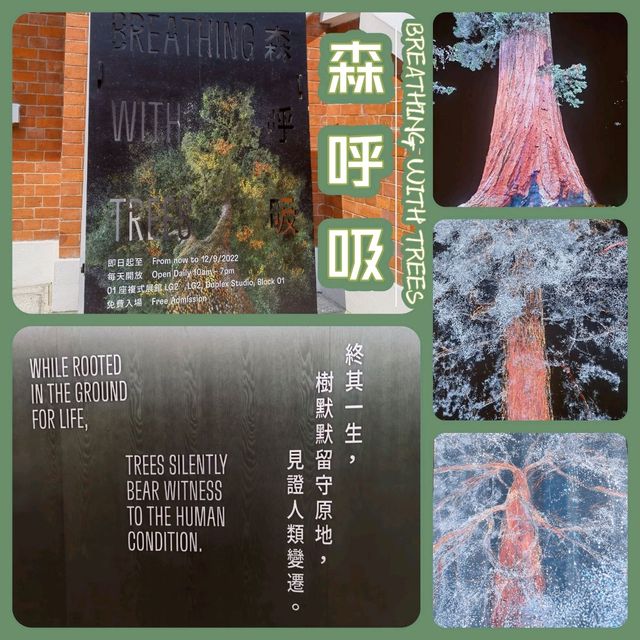 VISIT! 百年歷史的大館🧱參觀展覽👀