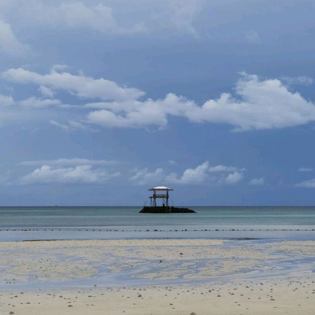 A Beach Within The Forest