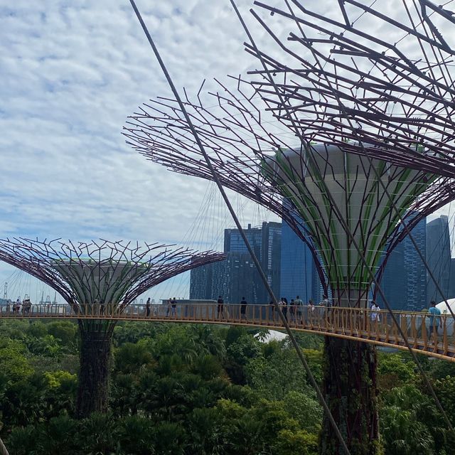 Supertrees Grove and OCBC Skywalk