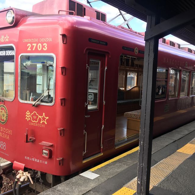 🐱 🚊 同時滿足鐵路迷和貓奴 — 貴志駅
