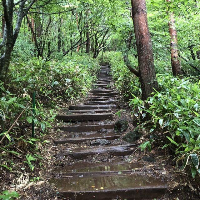 비오는날 한라산 갈수있을까요?