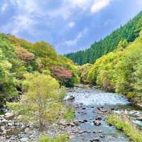 【青森】紅葉に色づく奥入瀬激流をお散歩♪