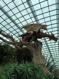 Admiring Nature’s Beauty inside Flower Dome