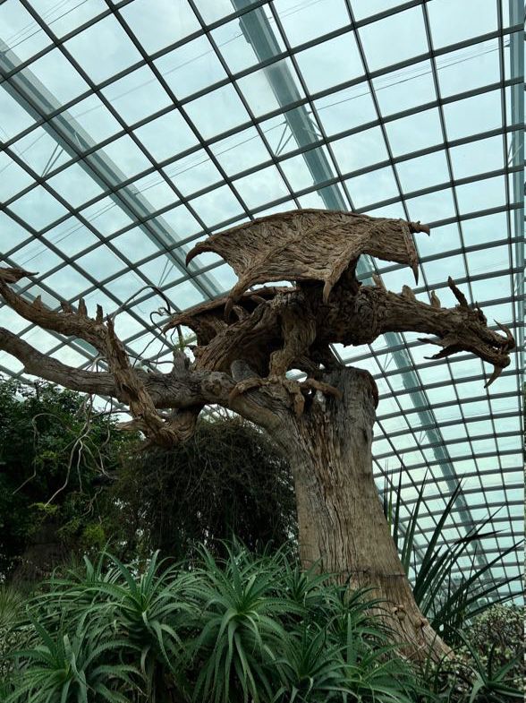 Admiring Nature’s Beauty inside Flower Dome