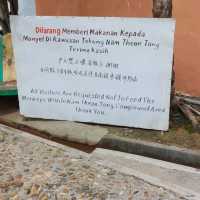 Temple tour part 2