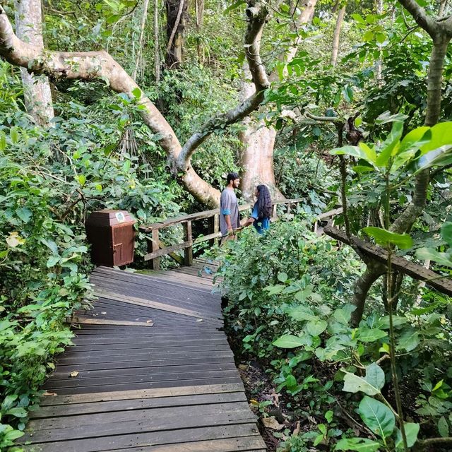 Monkey Forest - gorgeous and adventurous 