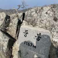 등린이도 가능한 영남알프스 가지산 겨울산행