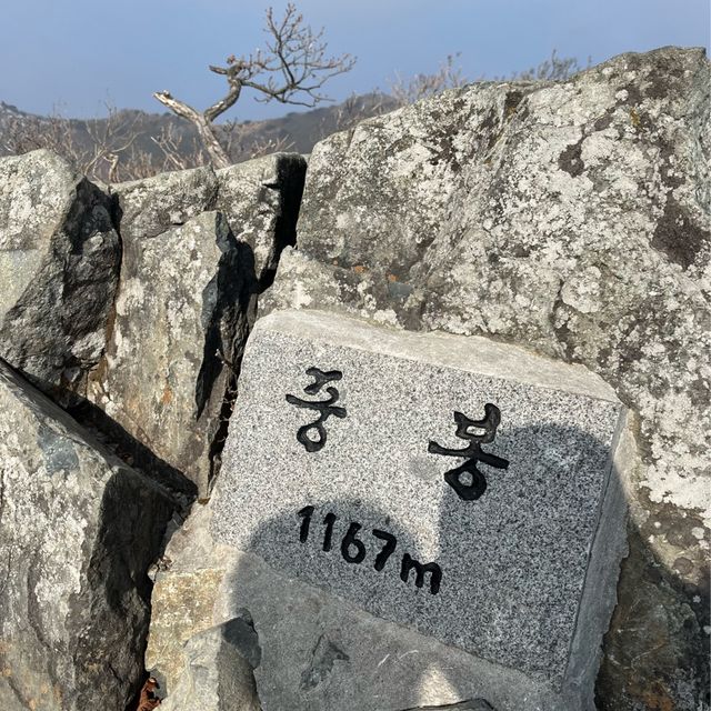 등린이도 가능한 영남알프스 가지산 겨울산행