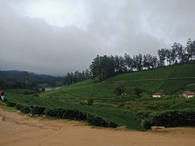 Meghamalai - Wavy mountains 