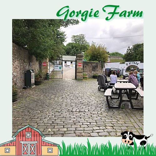 愛丁堡城市中的友好小農場Gorgie Farm