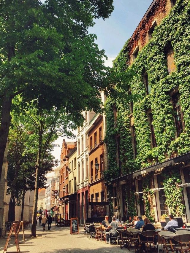 Impressions in Antwerp 🇧🇪