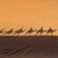 Sahara desert tour