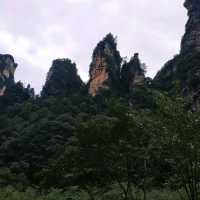 a lifetime trip to the land of "Avatar"! 
