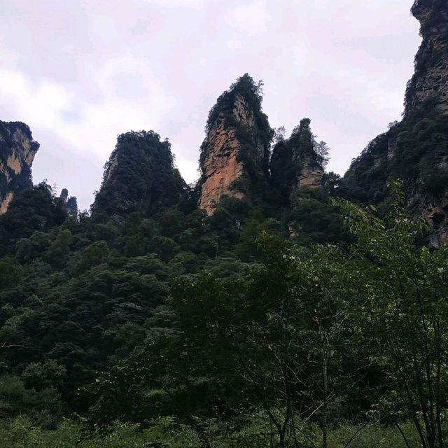 a lifetime trip to the land of "Avatar"! 
