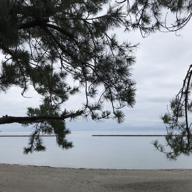 指宿溫泉旅館 吟松