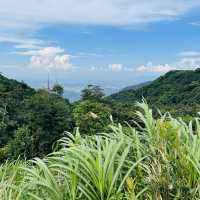 Wutong Mountain, Shenzhen🌿