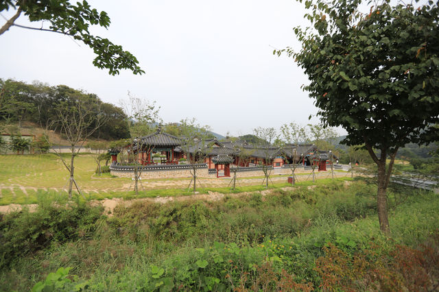 용인 대장금파크 최대규모 놀랍다!