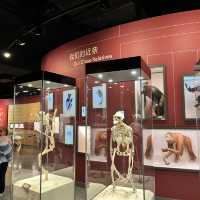 Shanghai Natural History Museum