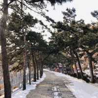 Panshan Scenic Area 