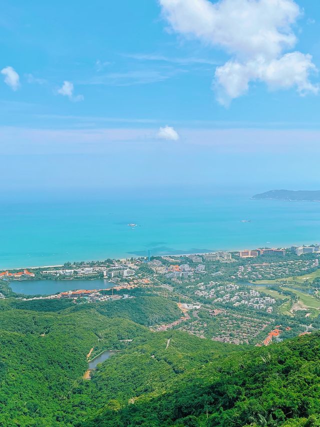 Glass Bridges with Epic Views 🌴🌊⛵️